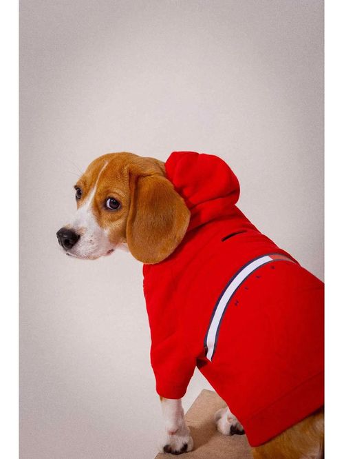 Suéter Con Gorro Para Perros