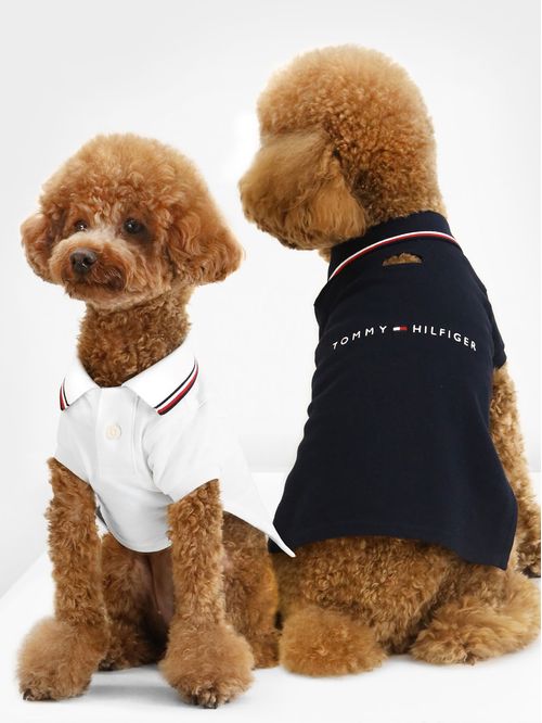 Polo Dog Heritage